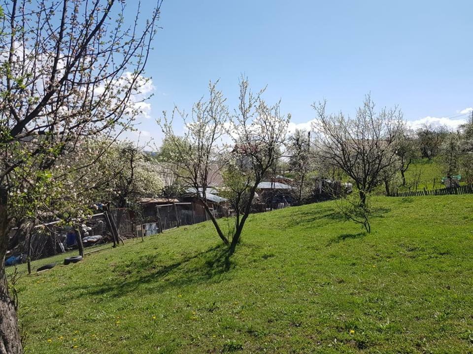 Casa Parvu Hotel Lunca Mare Buitenkant foto