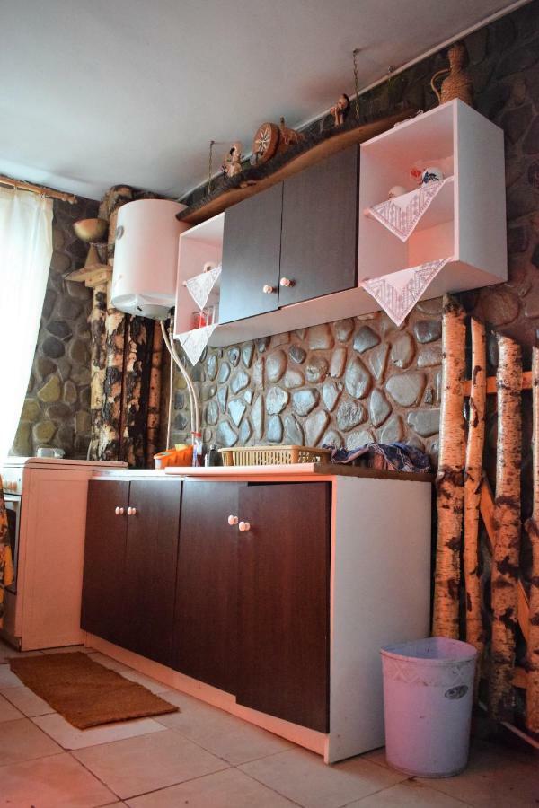 Casa Parvu Hotel Lunca Mare Buitenkant foto