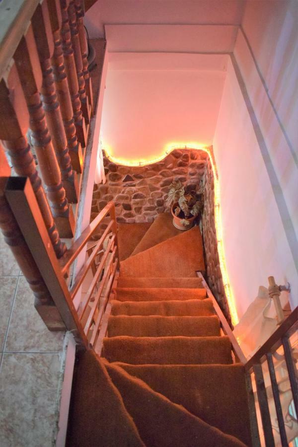 Casa Parvu Hotel Lunca Mare Buitenkant foto