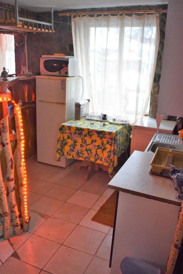 Casa Parvu Hotel Lunca Mare Buitenkant foto
