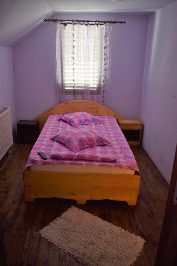 Casa Parvu Hotel Lunca Mare Buitenkant foto